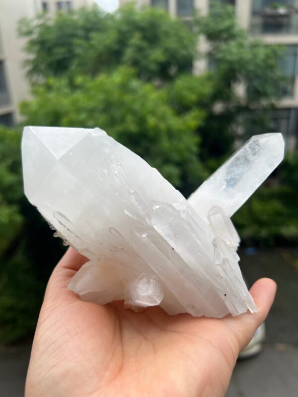 水晶のダイヤモンドマークです - 图片 6